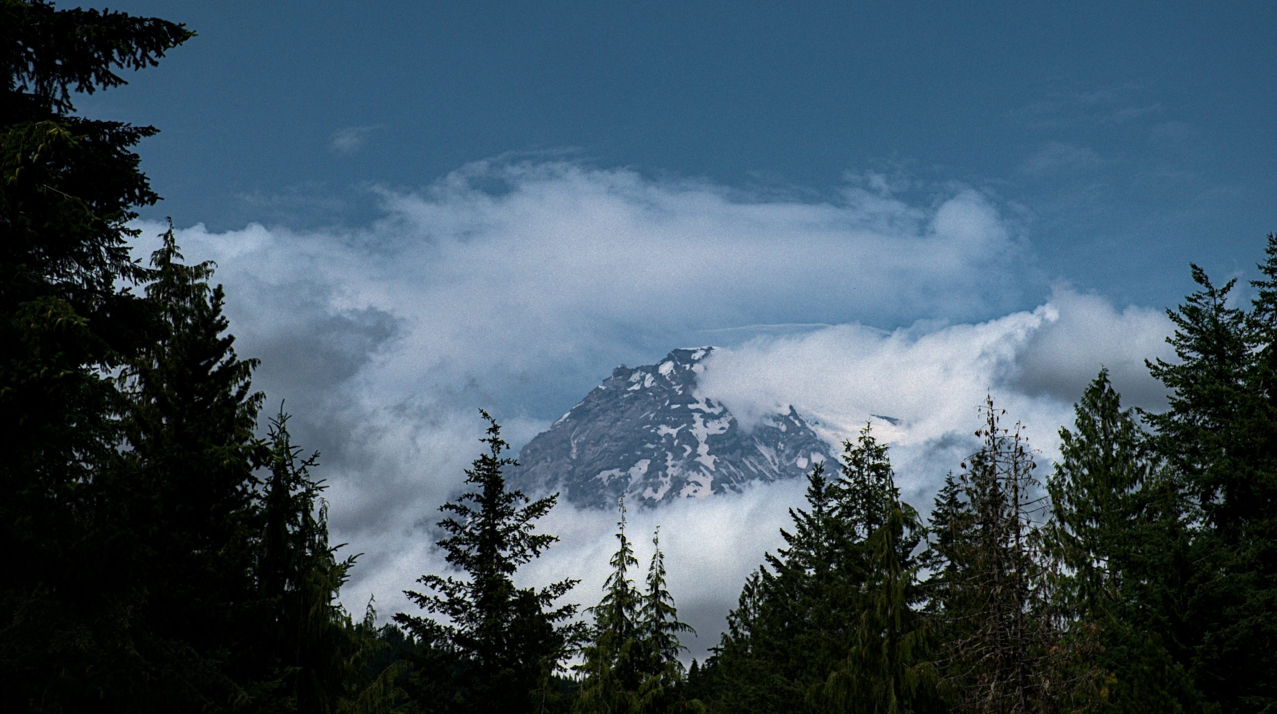 Mt. Rainier
